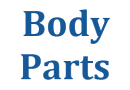 BodyParts